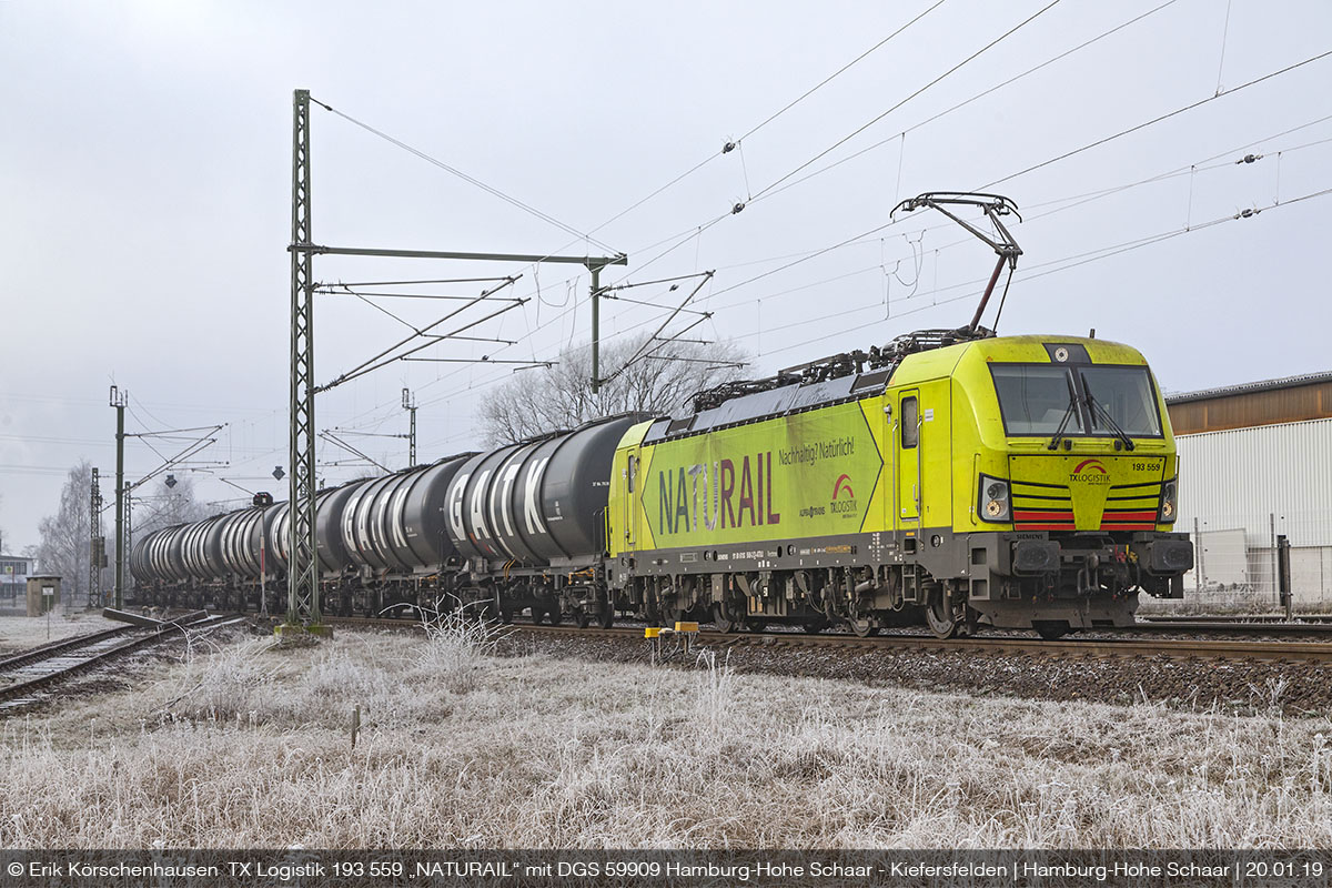 AlphaTr193559HoheSchaar4p200119