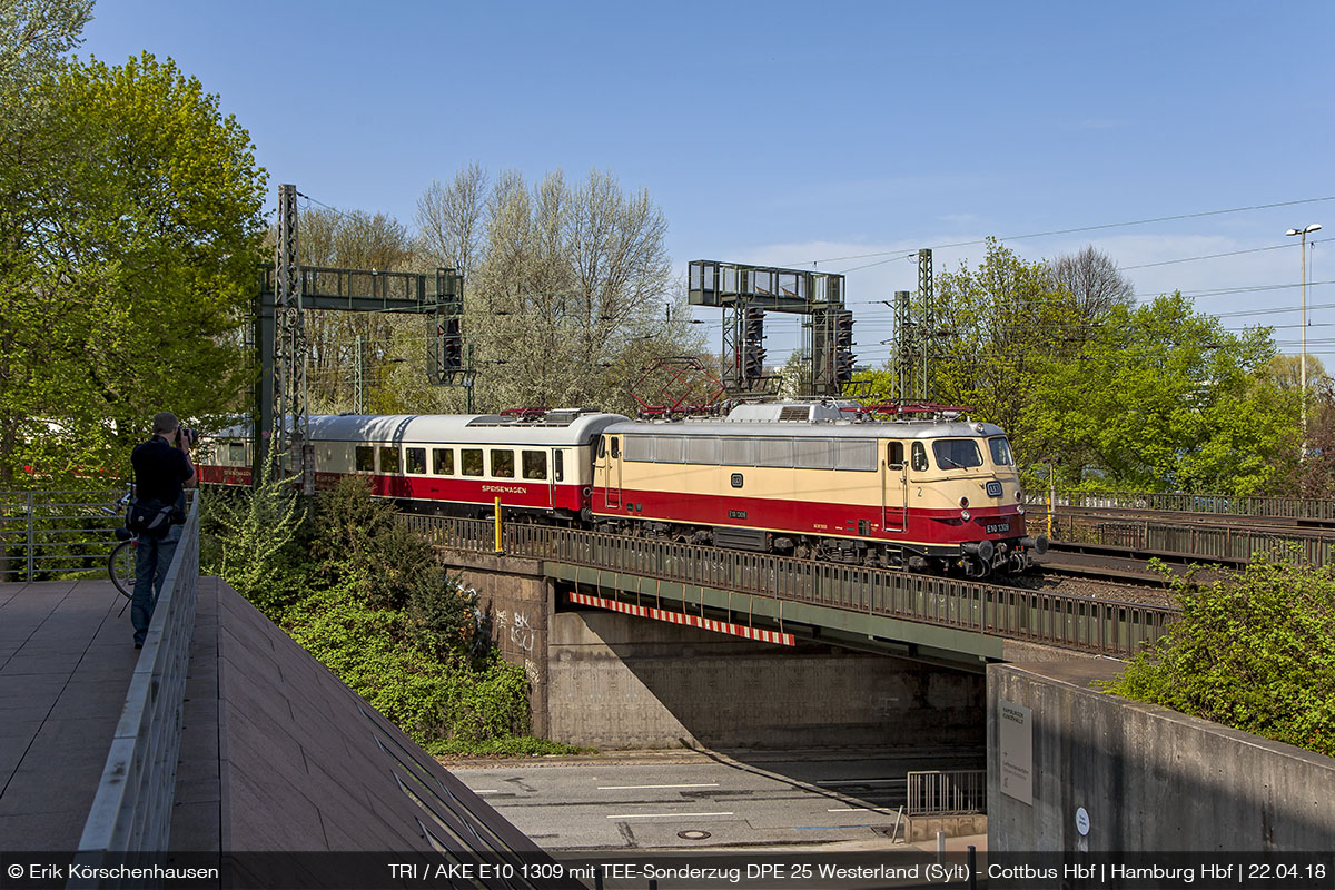 TRI113309Hbf2p220418